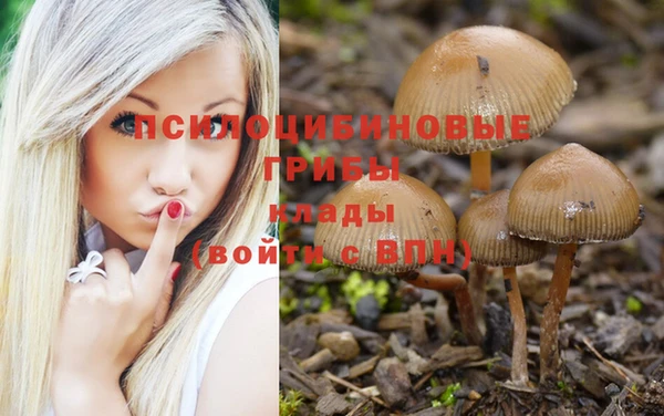 мяу мяу мука Волосово