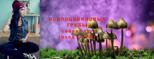 дмт Верея