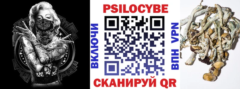 Купить где  Камышлов  Галлюциногенные грибы GOLDEN TEACHER 