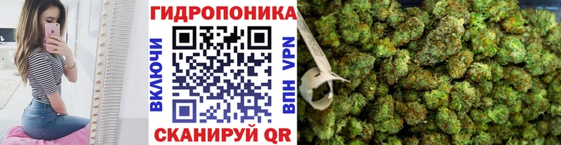 Марихуана MAZAR Камышлов